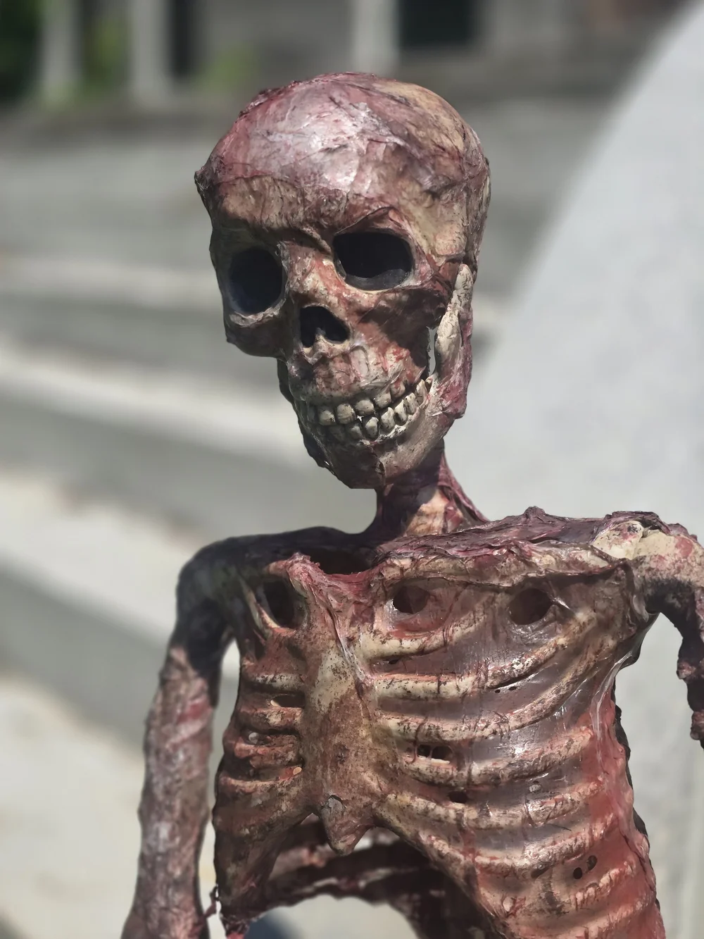 Skeleton Corpse Halloween Prop